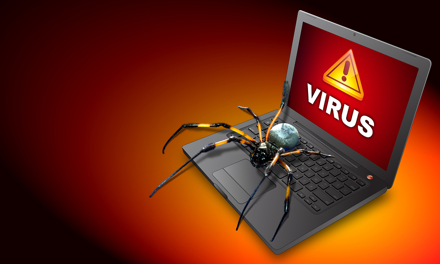 The History of the Computer Virus